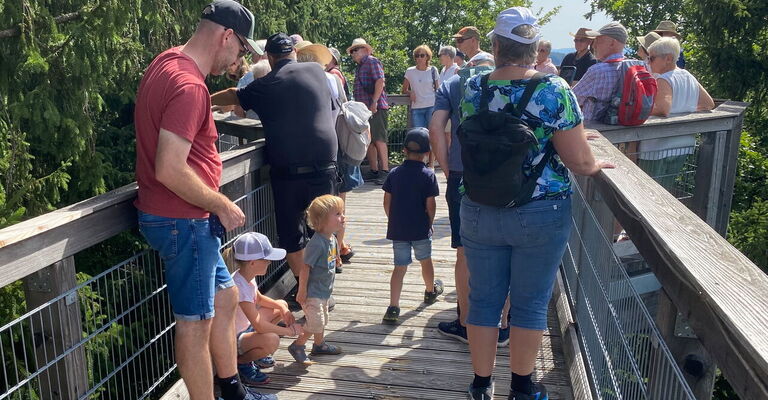 Besucher auf dem Baumwipfelpfad auf Augenhöhe mit den Baumkronen Familie mit Kindern im Vordergrund