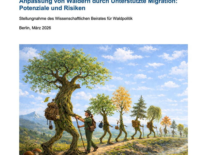 Coverbild der Stellungnahme des wissenschaftlichen Beirats zum Theme Migration von Baumarten