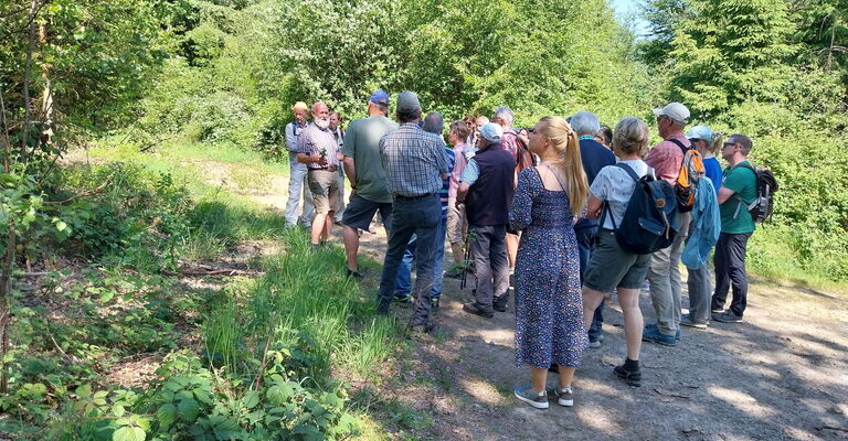 Förster steht vor Wandergruppe und gibt Erklärungen im Sonnenschein