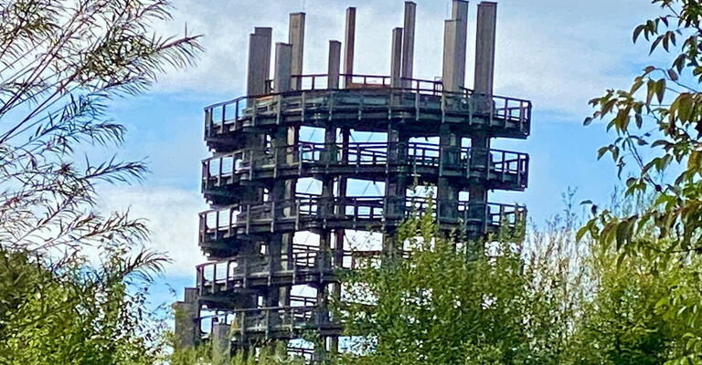 Aussichtsturm im Naturerlebnispark Jugendherberge Panarbora