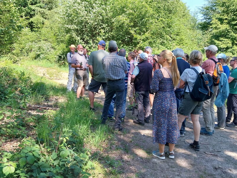 Förster steht vor Wandergruppe und gibt Erklärungen im Sonnenschein