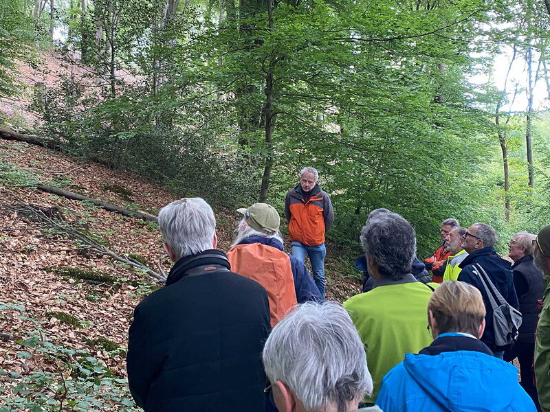 Förster Frank Lürken: „Mit Lichtinseln kann die Naturverjüngung auch im Buchenwald angeregt werden.“